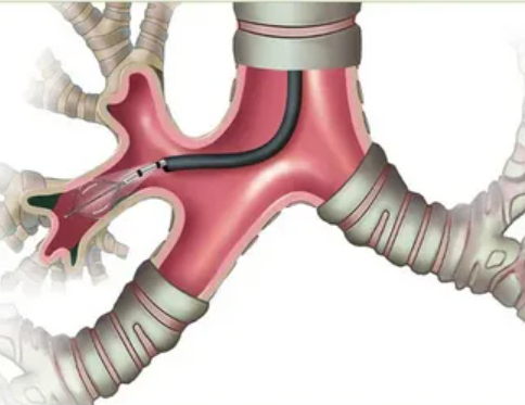 Screenshot-2025-08-26-162841