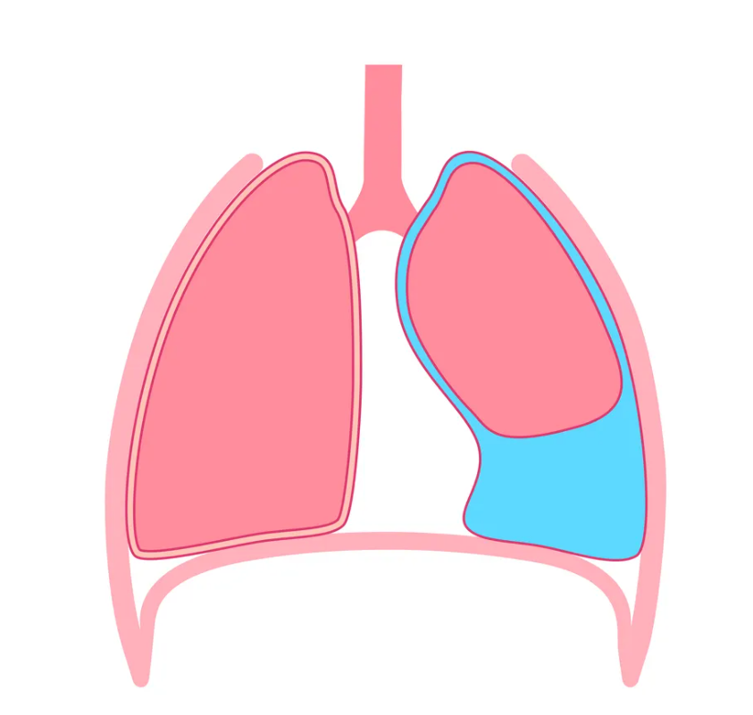 Screenshot 2025-08-27 153235